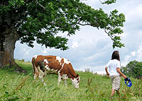 Landschaft